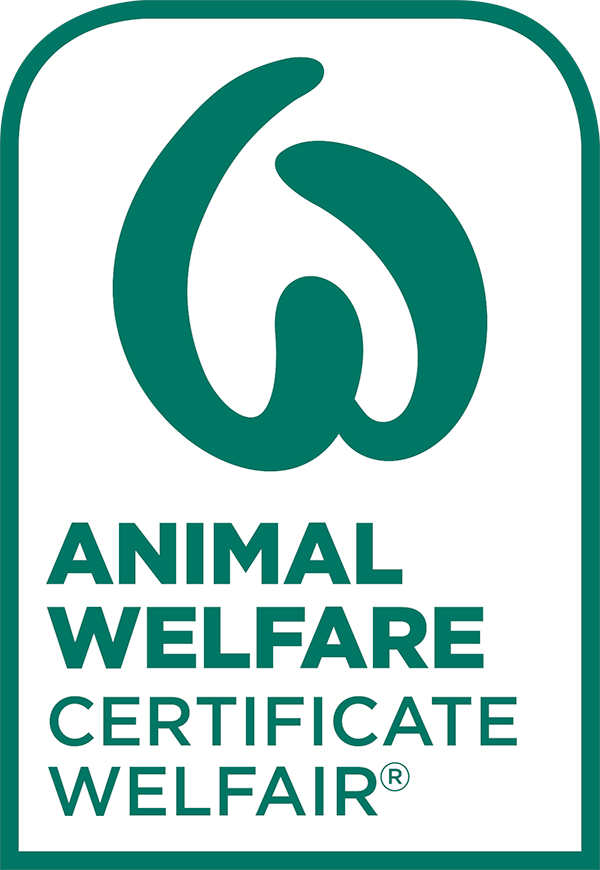 welfare